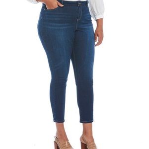 Vince Camuto Plus Size Mid Rise 5-Pocket Skinny Jeans